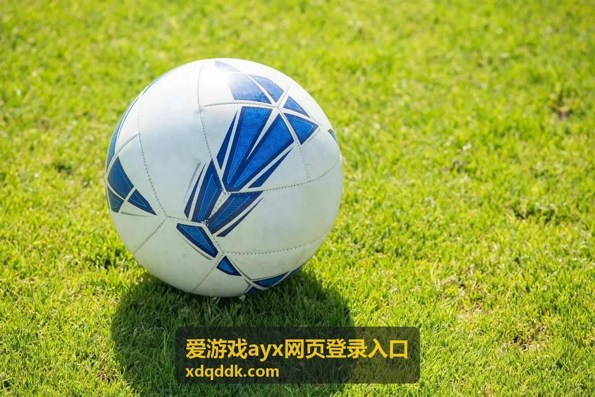 爱游戏ayx网页登录入口的网页登录页面示意