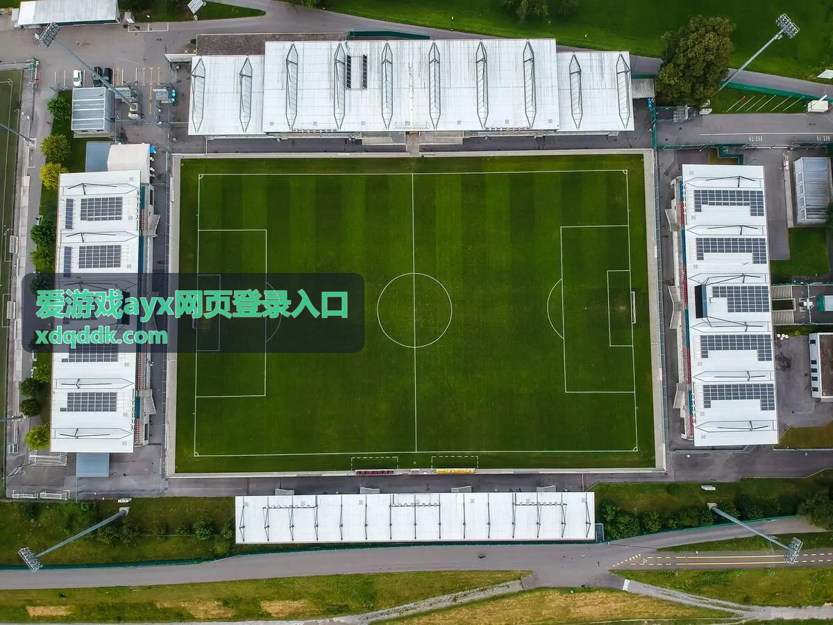 爱游戏ayx网页登录入口手机端页面示意