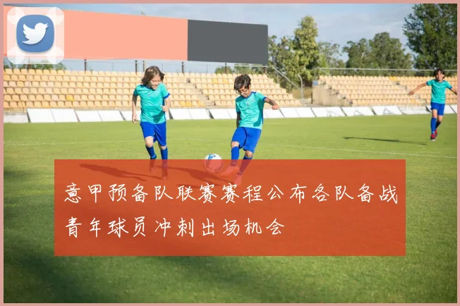 意甲预备队联赛赛程公布各队备战青年球员冲刺出场机会