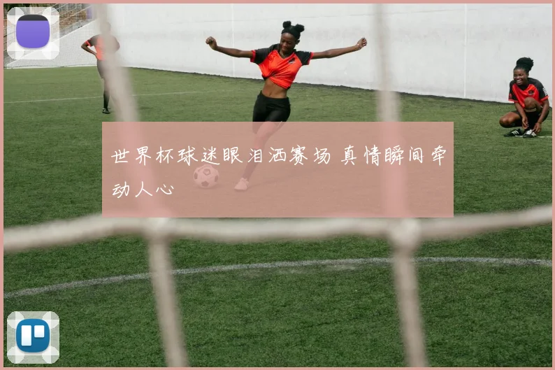 世界杯球迷眼泪洒赛场 真情瞬间牵动人心