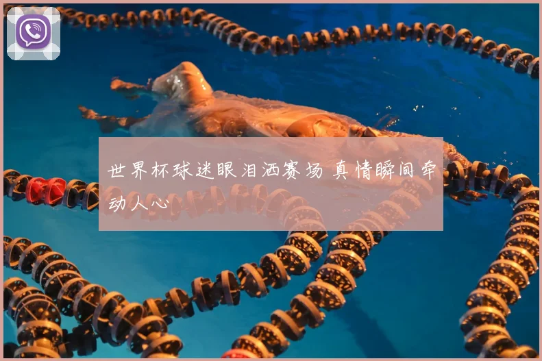 世界杯球迷眼泪洒赛场 真情瞬间牵动人心