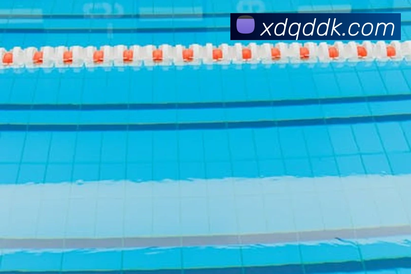 博鱼首页官网服务体系