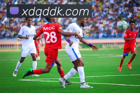 博鱼首页官网APP 体育赛事宣传图